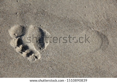 Footprints from bare foot in the sand, Skagen, Denmark