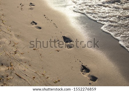 Footprints at the beach (summer, northern Germany)