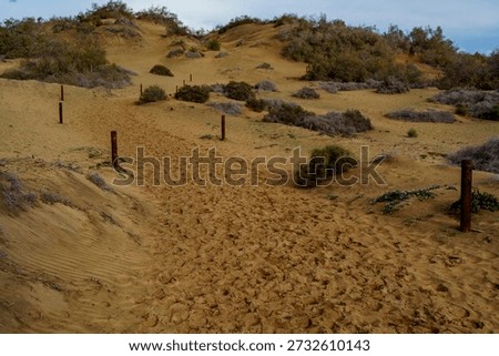Footprints cover a sandy path between low dunes, lined by wooden marker posts.