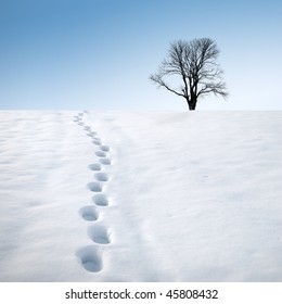 Footprints In Deep Snow And A Tree On Horizon. Winter Landscape