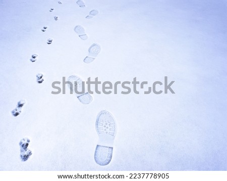 Footprints of a man and a dog in the snow. Walk. Healthy lifestyle. The concept of family. Copy space
