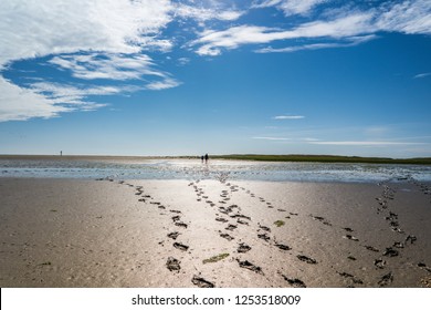 Footprints in the mudflats - Shutterstock ID 1253518009
