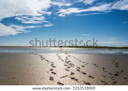 Footprints in the mudflats