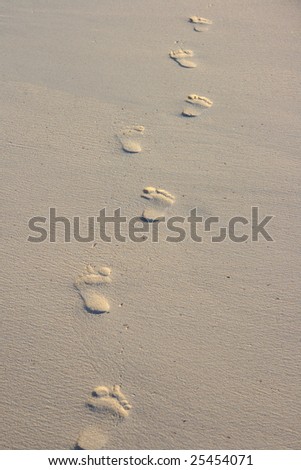 Footprints on beach sand