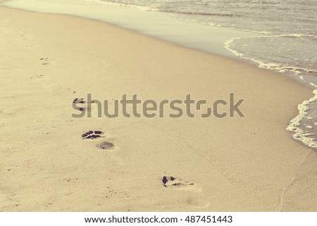 footprints on the beach, toned photo