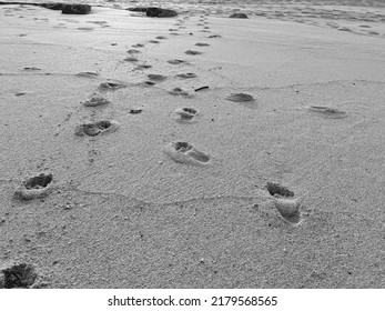 Footprints on the sand in black and white - Goa Cina Beach, Malang, Indonesia.