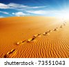 arid footstep