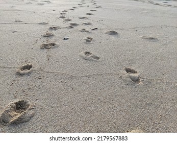 Footprints on the sand - Goa Cina Beach, Malang, Indonesia.