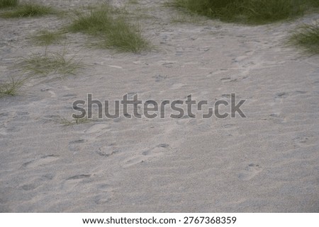 Footprints on sandy surface, path formed by walking on beach, texture of sand with imprints, signs of activity.