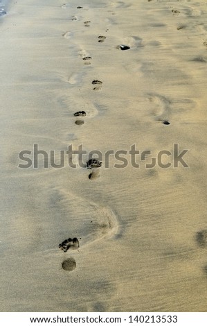 footprints on the sea, near the water