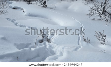 Footprints on the shore of a snow-covered lake