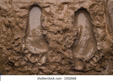 Footprints On Wet Mud