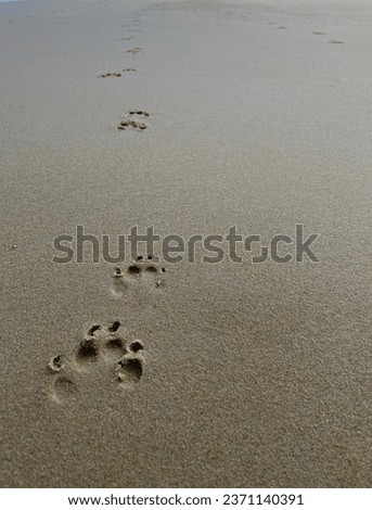 The footprints in our hearts