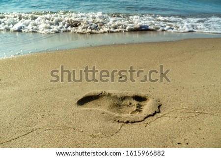 footprints of a person in the wet sand of a beach