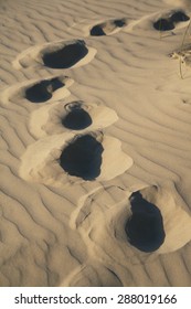 Footprints in the Sand