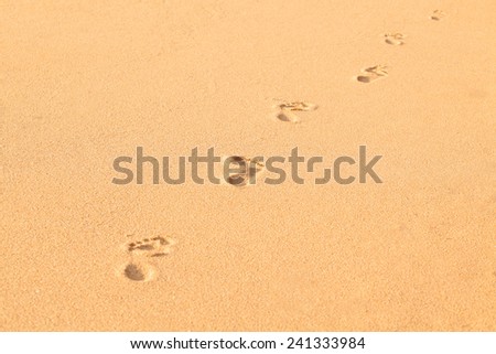 footprints in sand