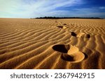 footprints in sand dune stockton beach