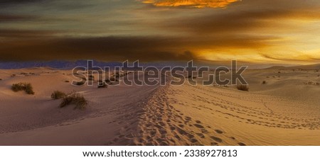 Footprints in sand dunes in Death Valley National Park at sunrise.