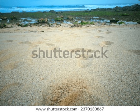Footprints in the sand on the beach