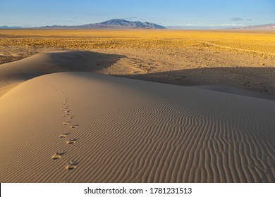 Footprints in Sand On Crescent Dune Nevada