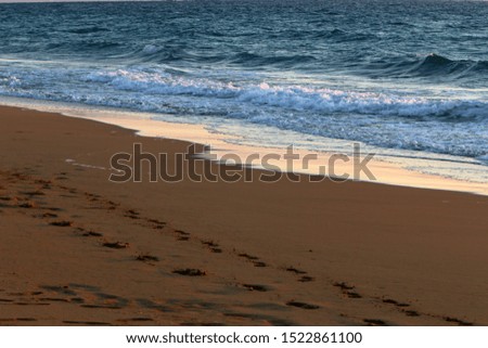 footprints in the sand on the shores of the Mediterranean