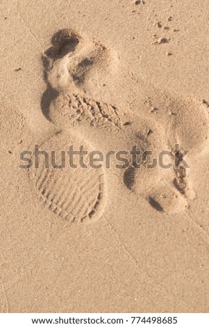 footprints in the sand, sea beach
