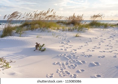 Footprints in the sand at sunset in the dunes of Pensacola Beach, Florida.