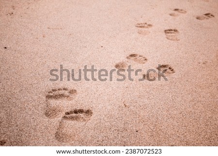 Footprints in the sand, walking barefoot on the beach, footprints of bare feet, a walk on the beach