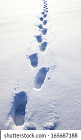 Footprints In Snow