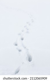 Footprints in the snow. Deep footprints on freshly fallen fluffy snow