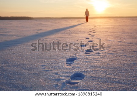 Similar – Image, Stock Photo Morning walk towards the summit peaks