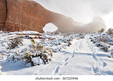Footprints in snow lead past an arch in a popular national park