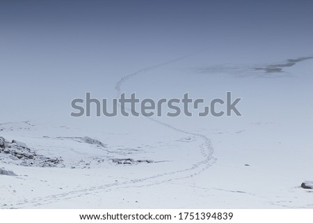 Similar – rest Ski tracks