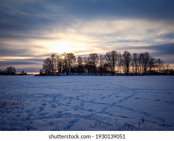 Footprints In The Snow, Winter Evening
