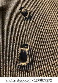 Footprints in structured sand. Lines in the sand.