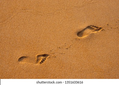 Footprints at sunset with golden sand. beach, close up footprint.