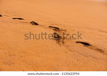 Footprints trace on wet golden sandy beach, sunset time