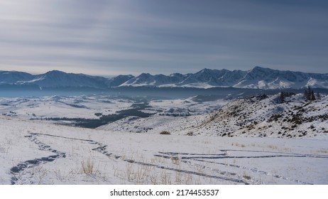 Footprints are visible on a snow-covered high-altitude plateau. Dry grass in snowdrifts. In the distance, against the background of blue sky and clouds - a picturesque mountain range. Altai.