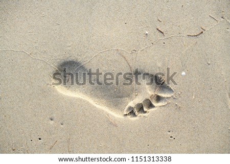 Footprints walking on the beach by the morning , with copy space text