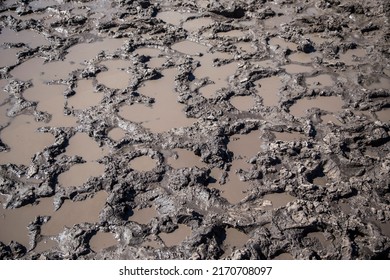 Footprints In Wet Mud, Rural