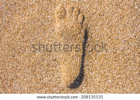 footstep in sandy on the beach