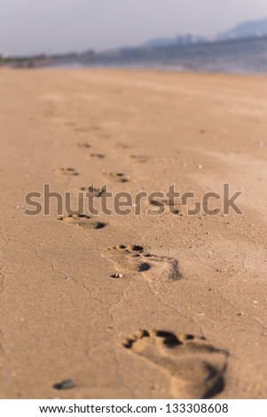 footstep tracks printed in the sand on the beach