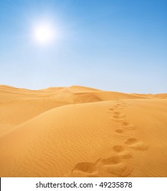 Footsteps In Desert