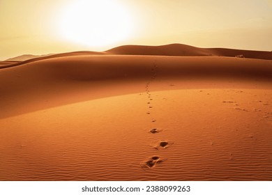 Footsteps in the Merzouga Desert - Powered by Shutterstock