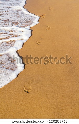 Footsteps on the beach by the sea in summer