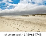 footsteps on a sandy beach