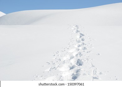 Footsteps On The Snow