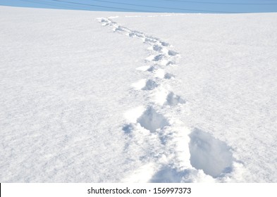 Footsteps On The Snow 