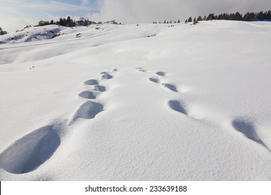 Footsteps On The Snow