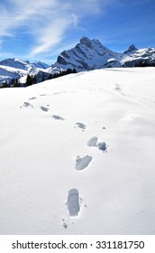 Footsteps On The Snow